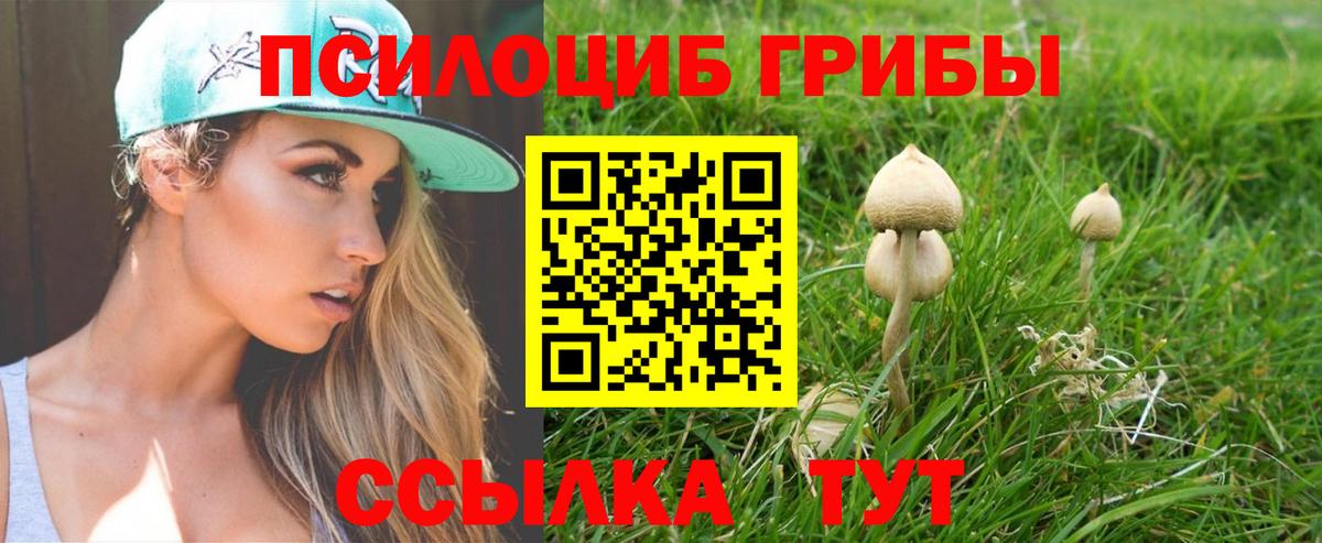 Галлюциногенные грибы Psilocybine cubensis Киселёвск